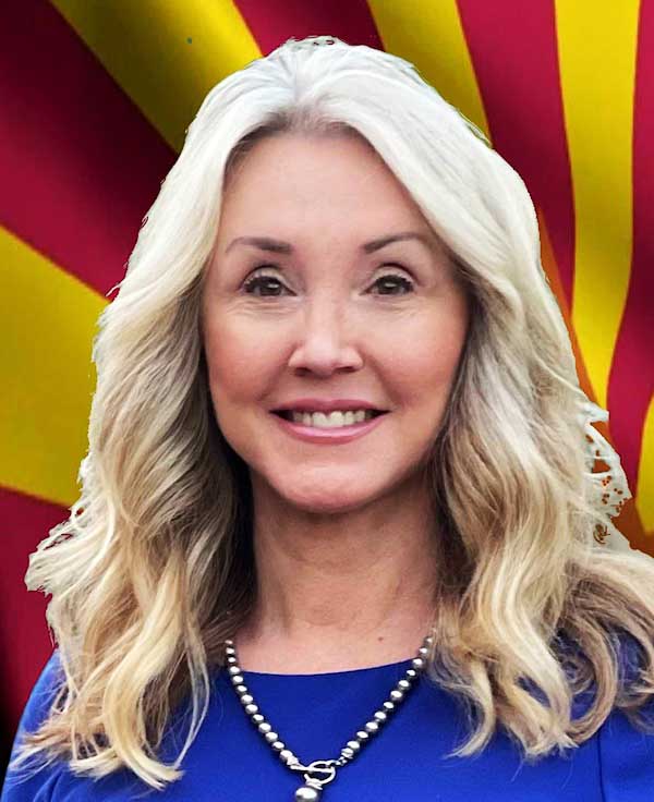 Lisa Farr - 1st Vice Chair AZ GOP LD4